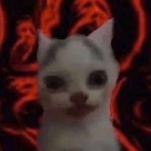 Meet your Posher, Jillian